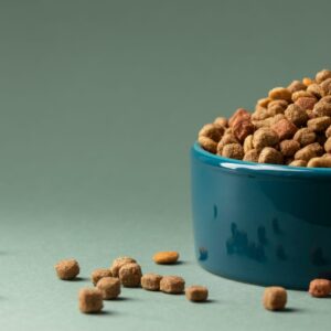 PET FOOD