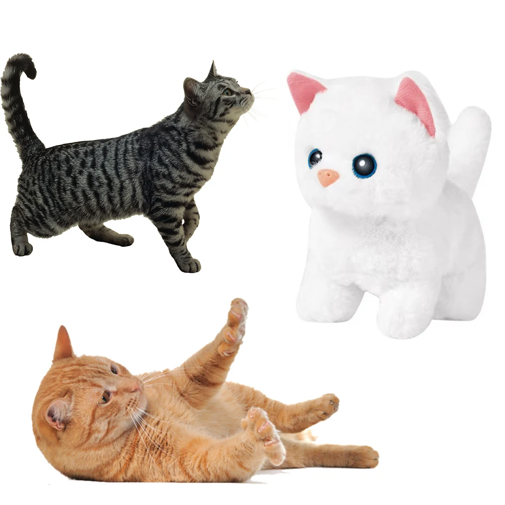 Product Name 3 Hover