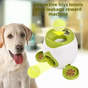 s8c9b09ee84f14069a5f01c53b0c30e9ab.webp